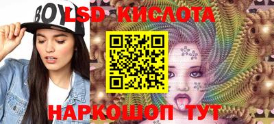 гашик Гусев