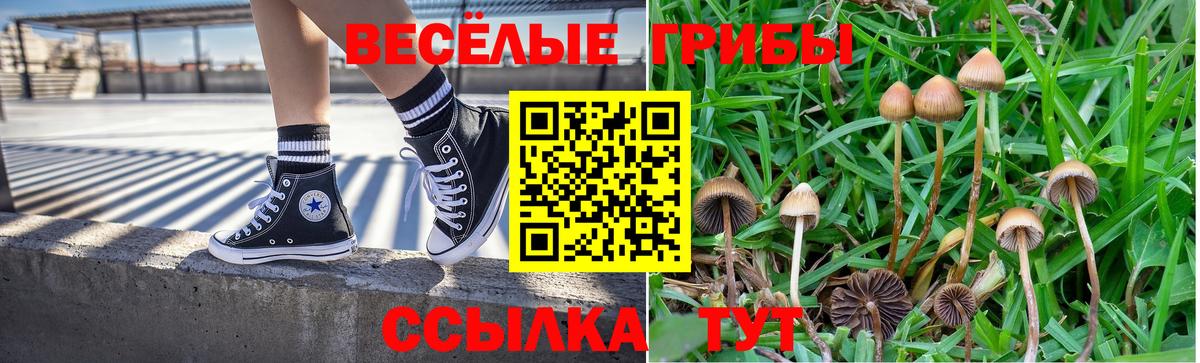Галлюциногенные грибы Magic Shrooms  Вход с VPN  Галлюциногенные грибы Psilocybine cubensis  Искитим 